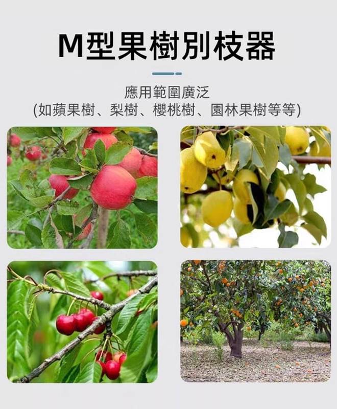 1733402458188852.jpg 838902bc8b1d46bba53ff59bf45991be.jpg